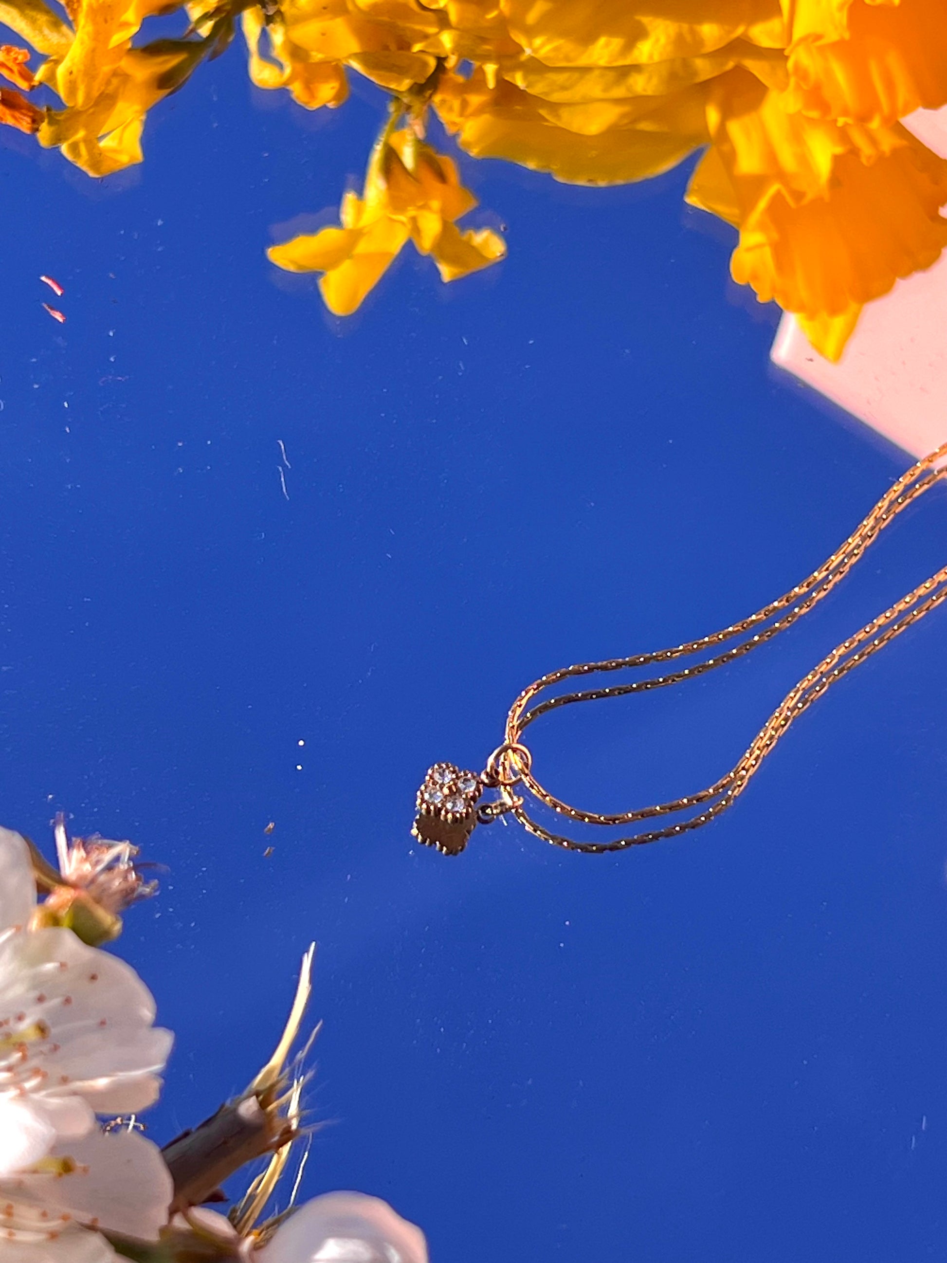 The Bloom Choker